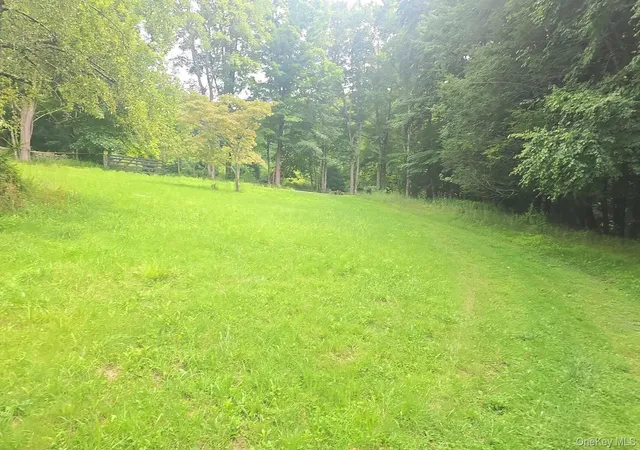 3rd image of 127 Old Cahoonzie Rd, Deerpark, NY 12780 | MLS# 1040301