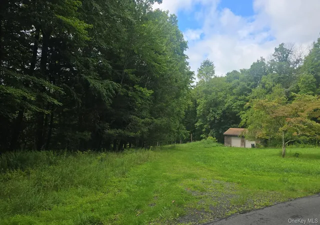 5th image of 127 Old Cahoonzie Rd, Deerpark, NY 12780 | MLS# 1040301
