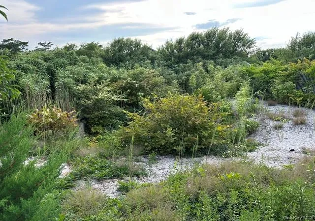 Photo 3 of Land for sale at 185 Holly Walk, Brookhaven, NY 11782 | MLS# 1041048 | Listing updated on 2026-08-21