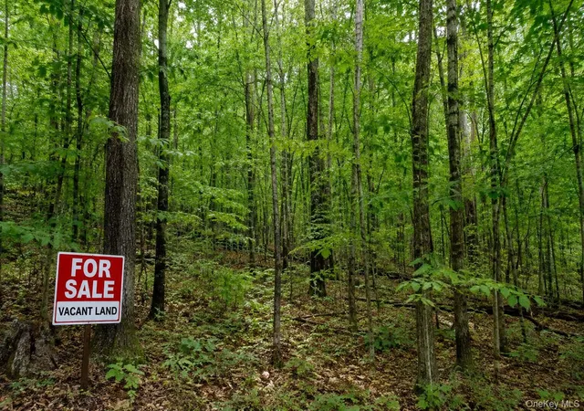 Photo 1 of Land for sale at Patrick St, Southampton, NY 11978 | MLS# 1045075 | Listing updated on 2026-09-01