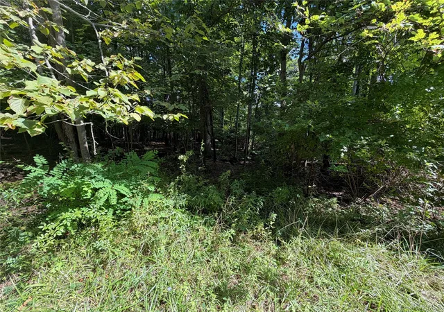 Land for sale at Lot 20.1 Mt Prosper Rd, Mamakating, NY 12790 | MLS# 1045418