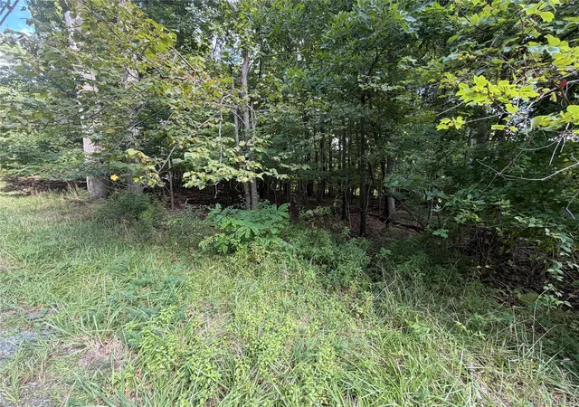 Photo 2 of Land for sale at Lot 201 Mt Prosper Rd, Mamakating, NY 12790 | MLS# 1045418 | Listing updated on 2026-09-04