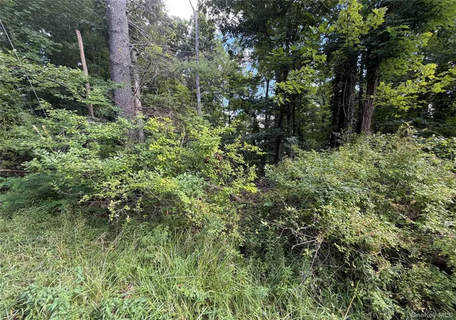 Photo 3 of Land for sale at Lot 201 Mt Prosper Rd, Mamakating, NY 12790 | MLS# 1045418 | Listing updated on 2026-09-04