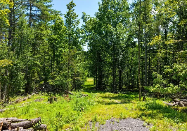 Photo 3 of Land for sale at 153 Roosevelt Ave, Cairo, NY 12413 | MLS# 1045511 | Listing updated on 2026-09-02