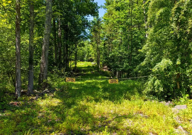 Photo 4 of Land for sale at 153 Roosevelt Ave, Cairo, NY 12413 | MLS# 1045511 | Listing updated on 2026-09-02
