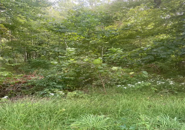 Photo 3 of Land for sale at 2 Big Meadow Ln, Hyde Park, NY 12601 | MLS# 1045922 | Listing updated on 2026-09-22
