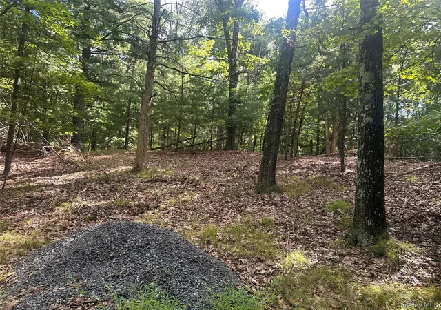 Photo 4 of Land for sale at Cedar Dr, Gallatin, NY 12523 | MLS# 1045982 | Listing updated on 2026-09-08
