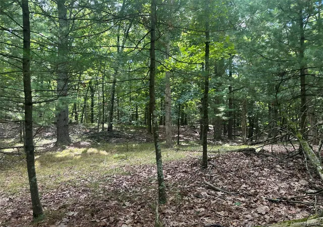 Photo 10 of Land for sale at Cedar Dr, Gallatin, NY 12523 | MLS# 1045982 | Listing updated on 2026-09-08