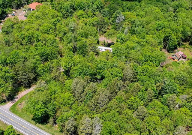 Photo 4 of Land for sale at 7173-7175 State Route 42, Neversink, NY 12740 | MLS# 1046036 | Listing updated on 2026-09-03