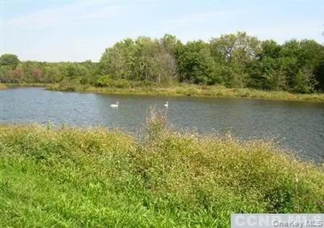 Photo 3 of Land for sale at County Route 19, Livingston, NY 12534 | MLS# 1046099 | Listing updated on 2026-09-03
