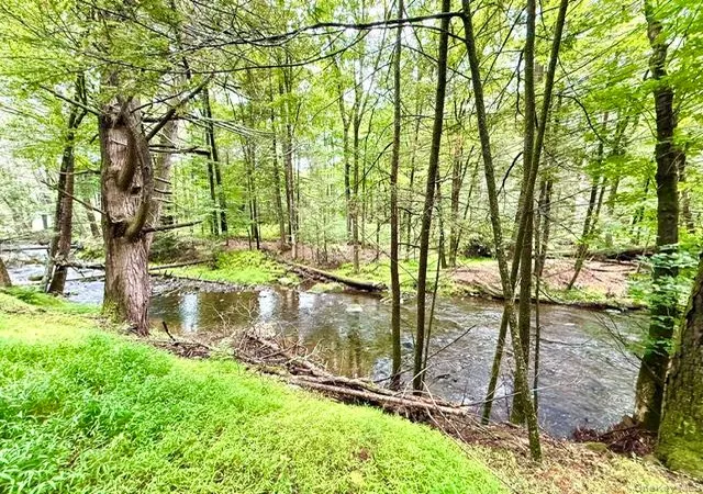 Photo 1 of Land for sale at Lot 9 Black Forest Rd, Lumberland, NY 12737 | MLS# 1046255 | Listing updated on 2026-09-28