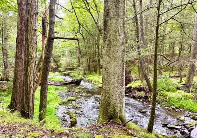 Photo 2 of Land for sale at Lot 9 Black Forest Rd, Lumberland, NY 12737 | MLS# 1046255 | Listing updated on 2026-09-28