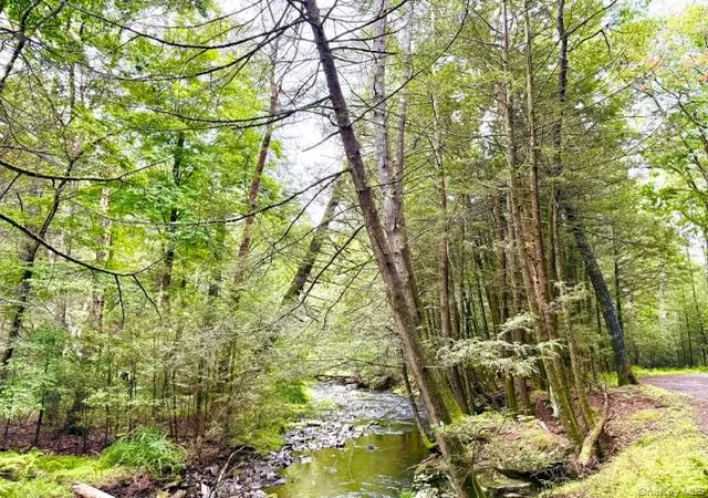 Photo 3 of Land for sale at Lot 9 Black Forest Rd, Lumberland, NY 12737 | MLS# 1046255 | Listing updated on 2026-09-28