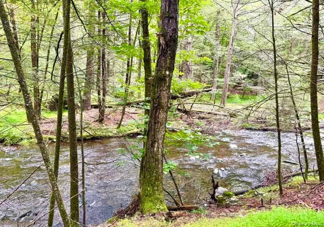 Photo 3 of Land for sale at Lot 9 Black Forest Rd, Lumberland, NY 12737 | MLS# 1046255 | Listing updated on 2026-09-28