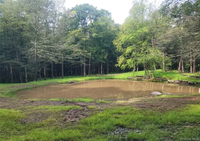 Photo 1 of Land for sale at 361 Ahrens Rd, Liberty, NY 12768 | MLS# 1046502 | Listing updated on 2026-09-08