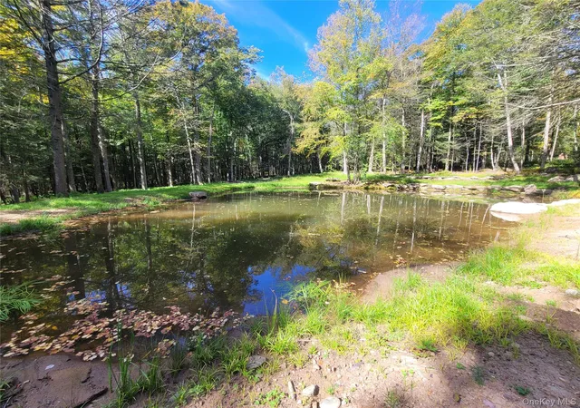 Photo 1 of Land for sale at 361 Ahrens Rd, Liberty, NY 12768 | MLS# 1046502 | Listing updated on 2026-09-25