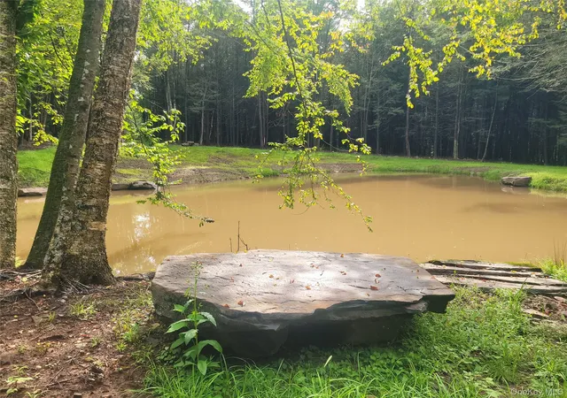 Photo 2 of Land for sale at 361 Ahrens Rd, Liberty, NY 12768 | MLS# 1046502 | Listing updated on 2026-09-08