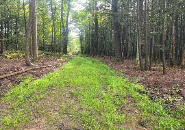 Photo 3 of Land for sale at 361 Ahrens Rd, Liberty, NY 12768 | MLS# 1046502 | Listing updated on 2026-09-08
