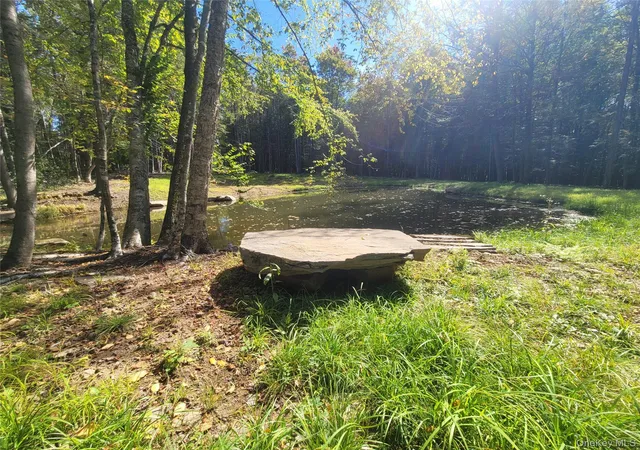 Photo 3 of Land for sale at 361 Ahrens Rd, Liberty, NY 12768 | MLS# 1046502 | Listing updated on 2026-09-25