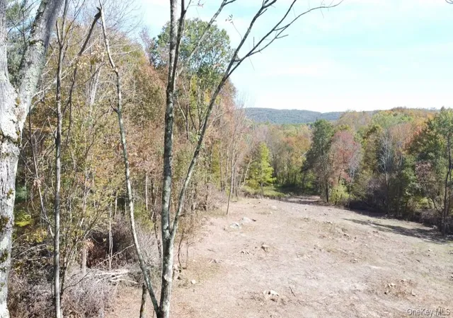 Photo 3 of Land for sale at Tbd West Hl Rd, Austerlitz, NY 12017 | MLS# 1046546 | Listing updated on 2026-09-21