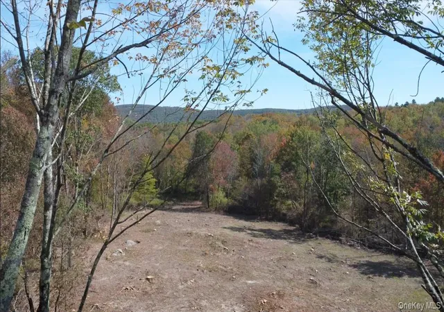 Photo 3 of Land for sale at Tbd West Hl Rd, Austerlitz, NY 12017 | MLS# 1046546 | Listing updated on 2026-09-21