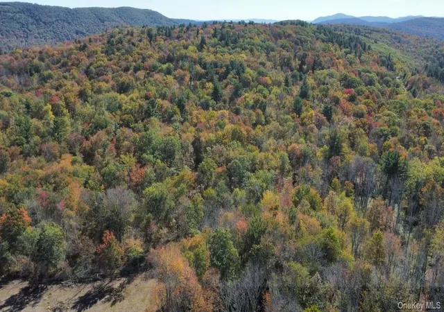 Photo 4 of Land for sale at Tbd West Hl Rd, Austerlitz, NY 12017 | MLS# 1046546 | Listing updated on 2026-09-21
