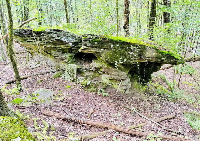 Photo 1 of Land for sale at 00 Hammer Rd, Fremont, NY 12736 | MLS# 1046551 | Listing updated on 2026-09-05