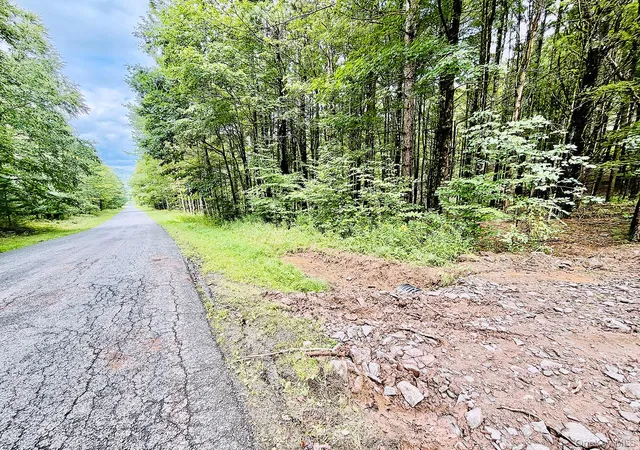 Photo 27 of Land for sale at 00 Hammer Rd, Fremont, NY 12736 | MLS# 1046551 | Listing updated on 2026-09-05