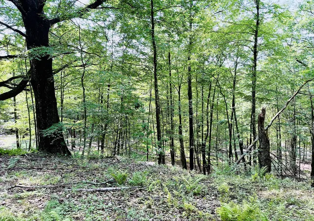 Photo 4 of Land for sale at 00 Hammer Rd, Fremont, NY 12736 | MLS# 1046551 | Listing updated on 2026-09-05