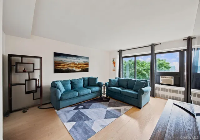 Listing Photo 1 - Condo for sale in building located at 33-65 14Th St, New York, NY 11106 - Unit #5A