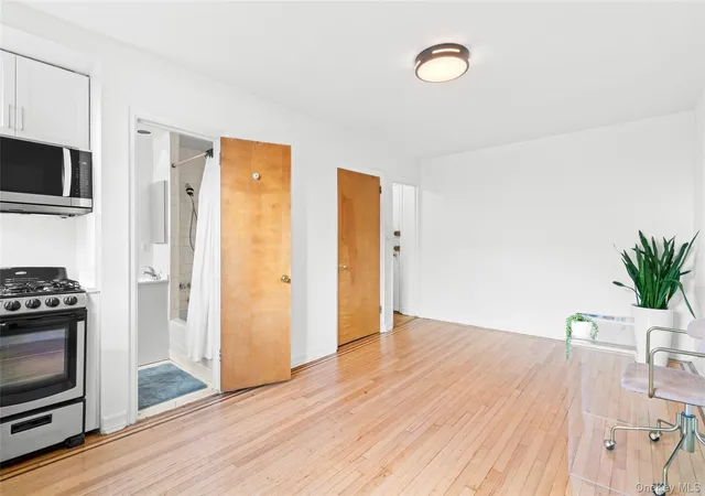 Listing Photo 4 - Condo for sale in building located at 300 8Th Ave, New York City, NY 11215 - Unit #4N