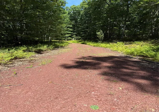 Photo 1 of Land for sale at 27 Cushetunk Dr, Cochecton, NY 12764 | MLS# 1048401 | Listing updated on 2026-09-24