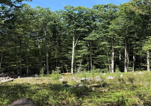 Photo 3 of Land for sale at 27 Cushetunk Dr, Cochecton, NY 12764 | MLS# 1048401 | Listing updated on 2026-09-24