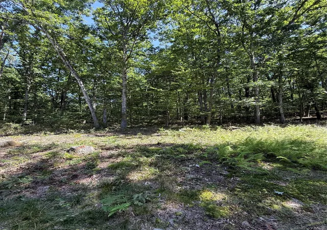 Photo 3 of Land for sale at 27 Cushetunk Dr, Cochecton, NY 12764 | MLS# 1048401 | Listing updated on 2026-09-24