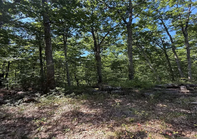 Photo 4 of Land for sale at 27 Cushetunk Dr, Cochecton, NY 12764 | MLS# 1048401 | Listing updated on 2026-09-24