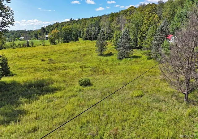 Photo 4 of Single family home for sale at 3994 Klondike Rd, Hancock, NY 12760 | MLS# 1049387 | Listing updated on 2026-09-16