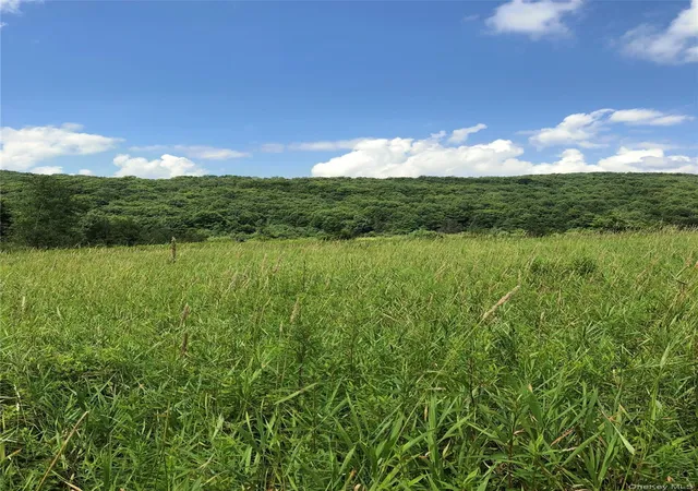 Photo 1 of Land for sale at 126 E Afton Rd, Afton, NY 13730 | MLS# 1049530 | Listing updated on 2026-09-15