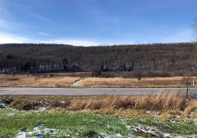 Photo 3 of Land for sale at 126 E Afton Rd, Afton, NY 13730 | MLS# 1049530 | Listing updated on 2026-09-15