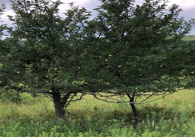 Photo 3 of Land for sale at 126 E Afton Rd, Afton, NY 13730 | MLS# 1049530 | Listing updated on 2026-09-15