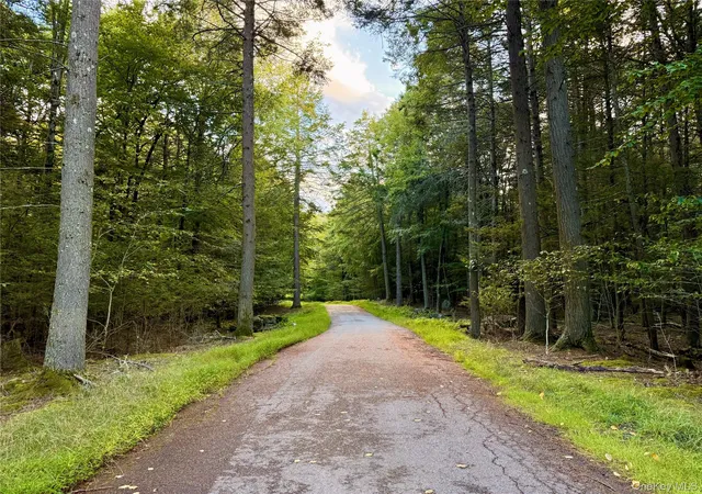 Photo 1 of Land for sale at Orange Ave, Bethel, NY 12778 | MLS# 1049713 | Listing updated on 2026-09-13