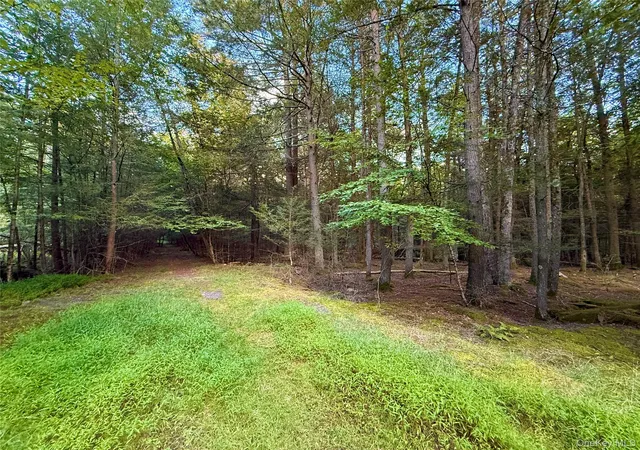 Photo 2 of Land for sale at Orange Ave, Bethel, NY 12778 | MLS# 1049713 | Listing updated on 2026-09-13