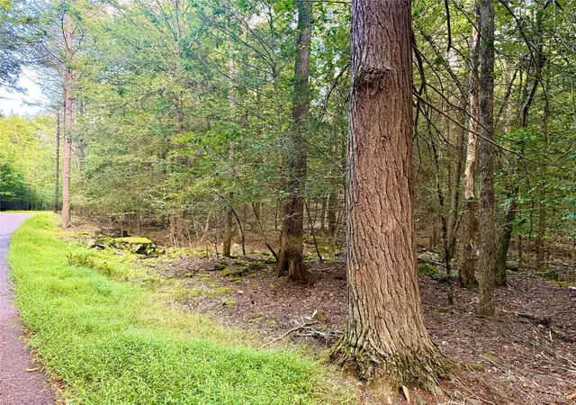 Photo 3 of Land for sale at Orange Ave, Bethel, NY 12778 | MLS# 1049713 | Listing updated on 2026-09-13