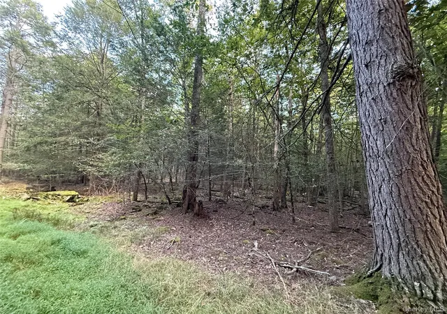 Photo 3 of Land for sale at Orange Ave, Bethel, NY 12778 | MLS# 1049713 | Listing updated on 2026-09-13