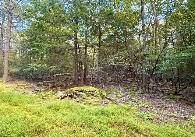 Photo 4 of Land for sale at Orange Ave, Bethel, NY 12778 | MLS# 1049713 | Listing updated on 2026-09-13