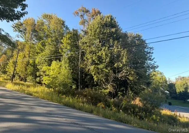 Land for sale at Highview Ave, Liberty, NY 12754 | MLS# 1049964