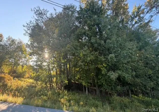 Photo 1 of Land for sale at Highview Ave, Liberty, NY 12754 | MLS# 1049964 | Listing updated on 2026-09-19