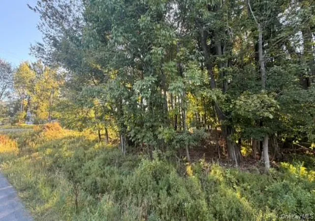 Photo 2 of Land for sale at Highview Ave, Liberty, NY 12754 | MLS# 1049964 | Listing updated on 2026-09-19