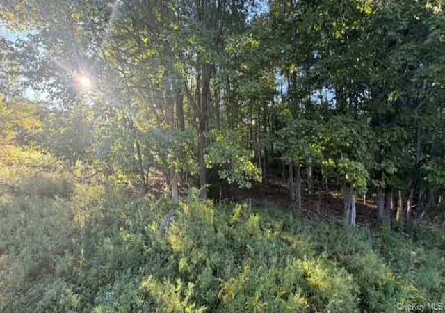 Photo 3 of Land for sale at Highview Ave, Liberty, NY 12754 | MLS# 1049964 | Listing updated on 2026-09-19