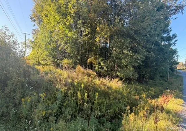Photo 4 of Land for sale at Highview Ave, Liberty, NY 12754 | MLS# 1049964 | Listing updated on 2026-09-19