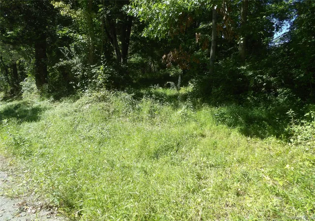 Photo 3 of Land for sale at 24 Hill Ln, East Fishkill, NY 12533 | MLS# 1050084 | Listing updated on 2026-09-19